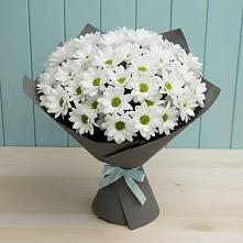 Букет цветов из:  Хризантемы в Каменнобродской