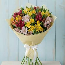 Букет цветов из:  Альстромерии #REPLACE_PRED# Каменнобродской