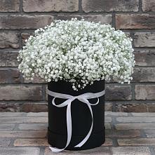 Цветочная композиция из Гипсофила в шляпной коробке в Каменнобродской