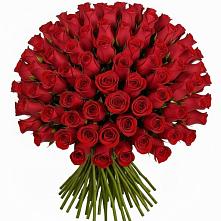 Букет Красные розы Чери Лав в Каменнобродской