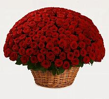 Премиум букет из: Розы #REPLACE_PRED# Каменнобродской